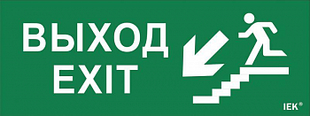 LPC10-1-24-09-VLVNF Этикетка самоклеящаяся "Выход/лестница вниз/фигура" ДПА IP20/54 IEK 